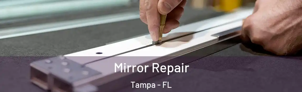 Mirror Repair Tampa - FL