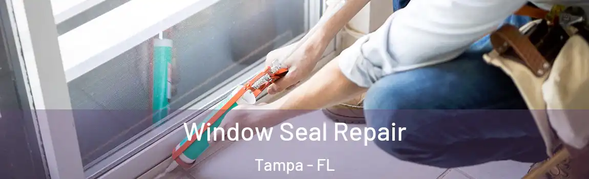 Window Seal Repair Tampa - FL